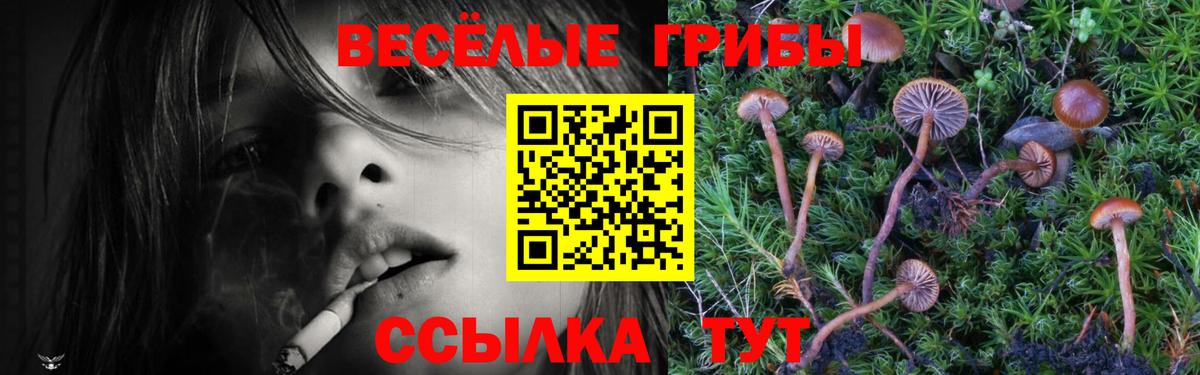 Экстази  Отрадное  Cocaine  Марихуана  Меф кристаллы  Вход с VPN  Купить наркотик  Меф  ГАШИШ  Гашиш 