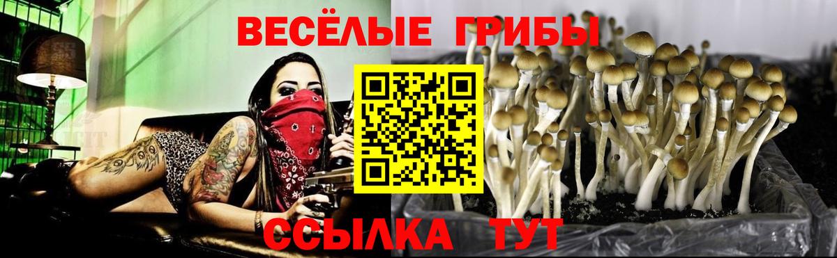 Отрадное  Псилоцибиновые грибы мухоморы  Галлюциногенные грибы Psilocybe  Вход с VPN 